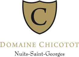 domaine chicotot logo.png