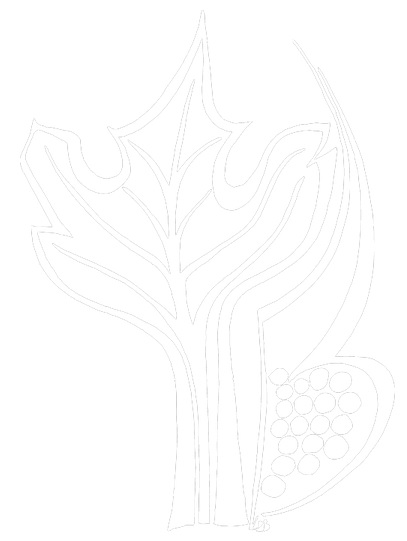 domaine francois pinon logo.jpg