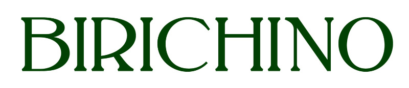 Birichino+Logo+Hires.jpg