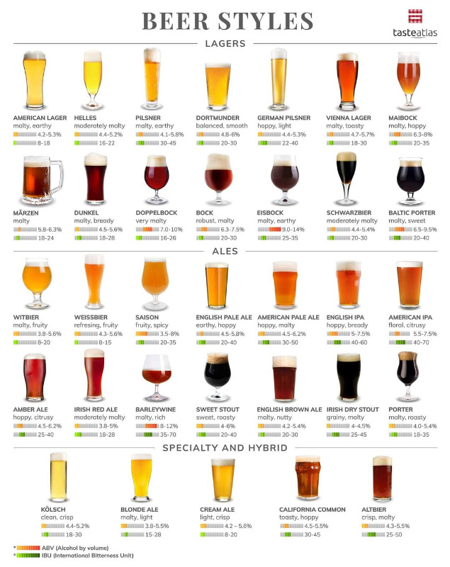 7 types de bières : tout savoir pour bien choisir 