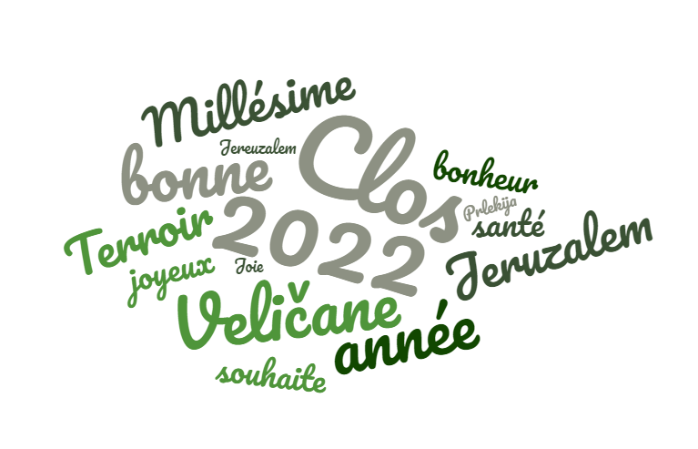 voeux Clos Veicanne 2022.png