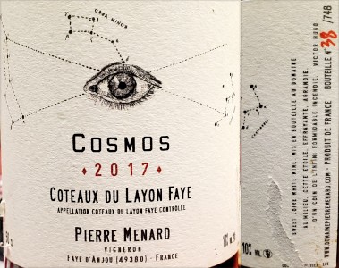 Ménard Cosmos 2017.jpg