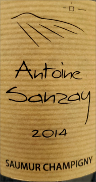 Antoine Sanzay SC 2014.jpg
